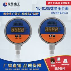 “貴陽數(shù)顯壓力表過載能力“/