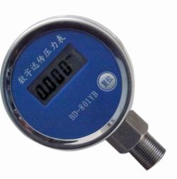 “杭州燃氣專用壓力表數(shù)顯“/