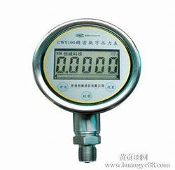 “咸陽(yáng)hc_y810數(shù)字電接點(diǎn)壓力表說(shuō)明書(shū)“/