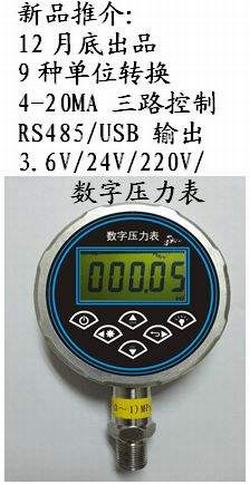 “上海數(shù)顯壓力表